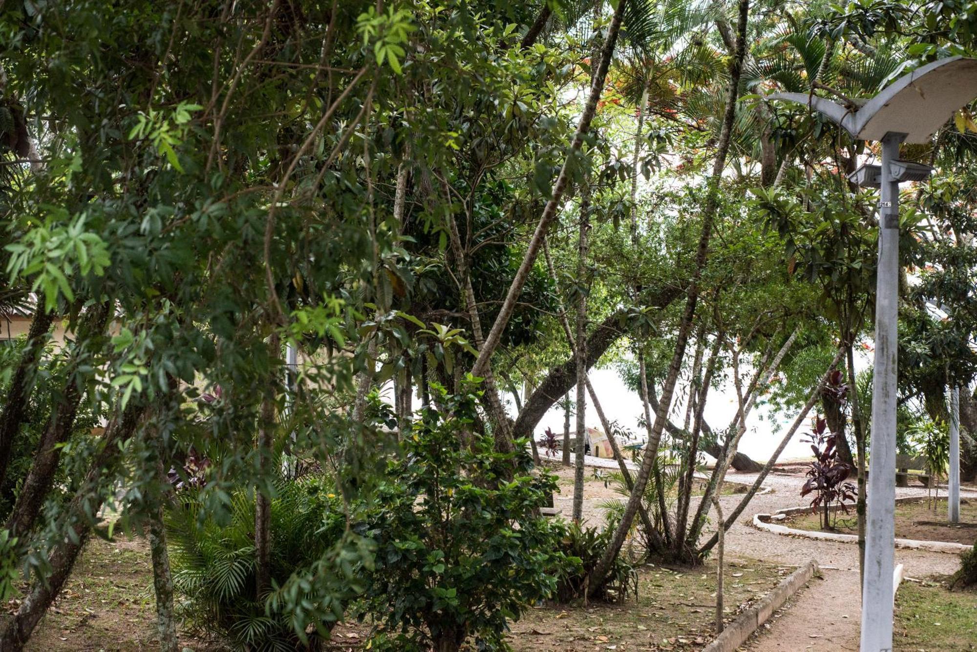 Vista Mar Na Via Gastronomica Coqueiros Coq2 Appartement Florianópolis Buitenkant foto